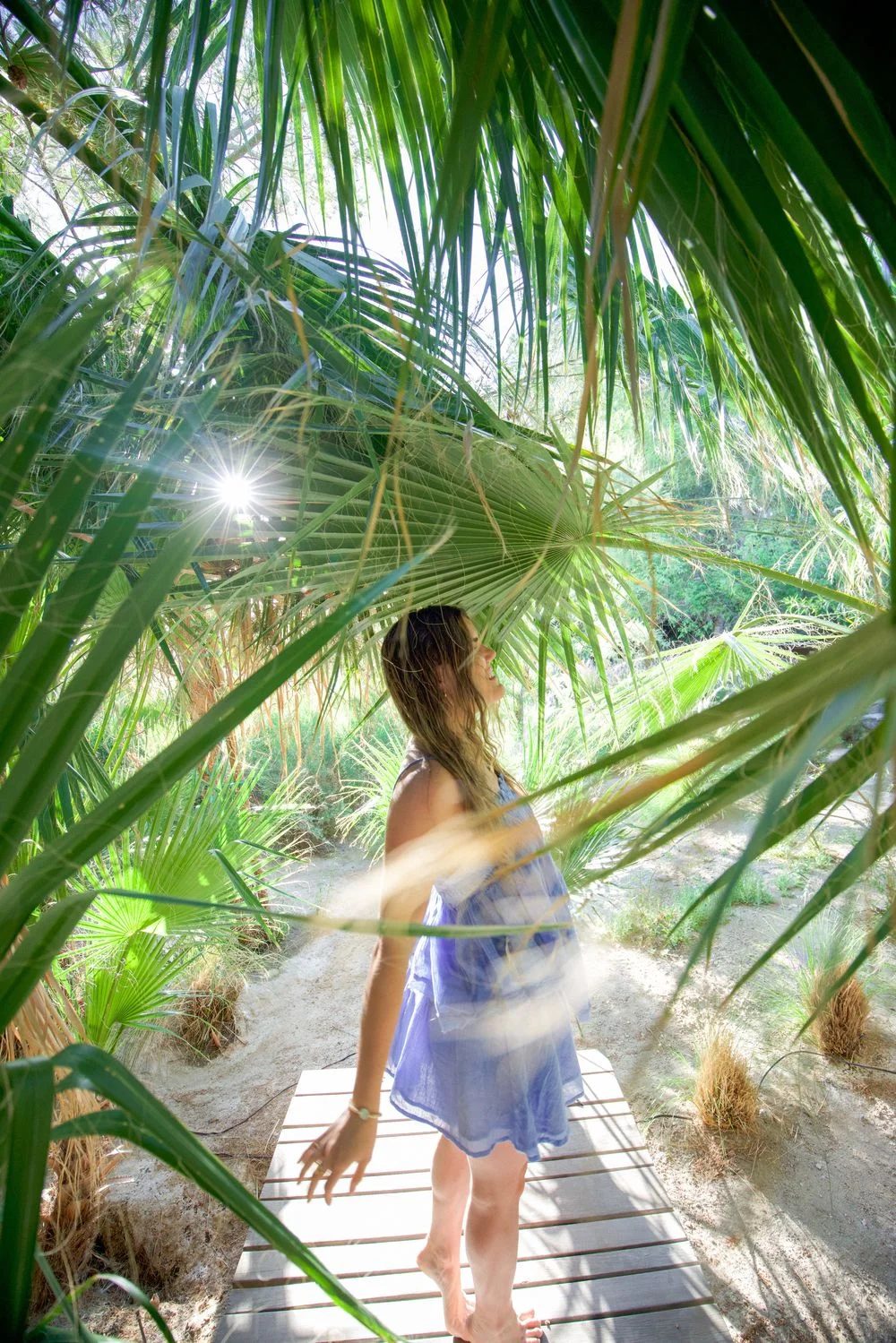 Cambria walking through sunlit palms