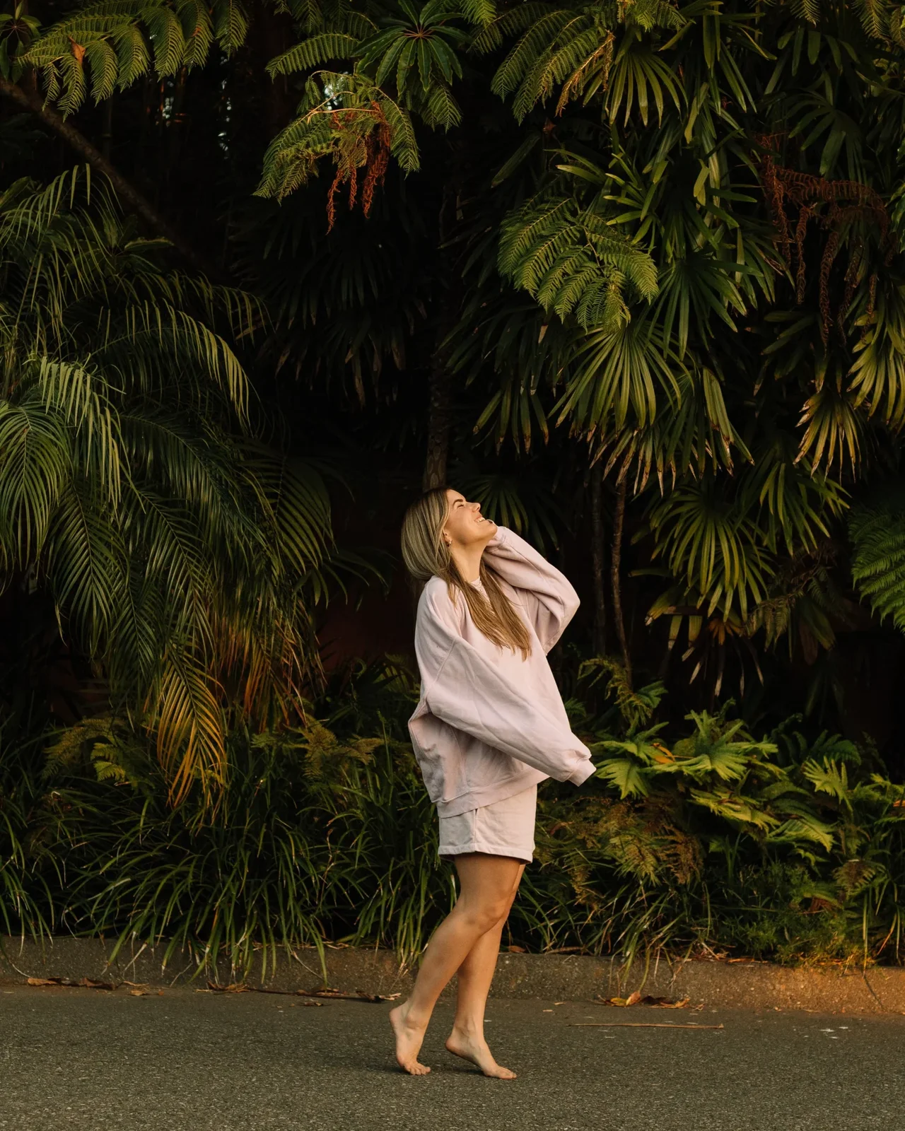 Cambria surrounded by ferns